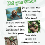 interesting facts