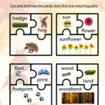 Prickles Final Resources A4-8-Compound word puzzles 1 Prickles Final Resources A4-8-Compound word puzzles 1