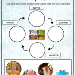 Winter Resources A4-19-Life cycle level 1 sample: easy level season cycle activity sheet
